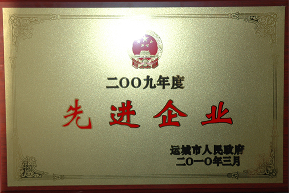 2009年先进企业