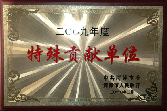 2009年特殊贡献