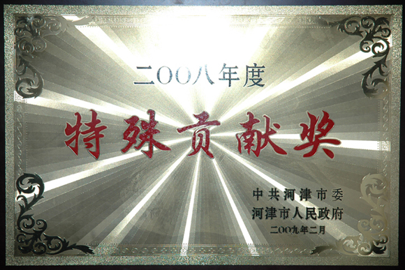 2008年度特殊贡