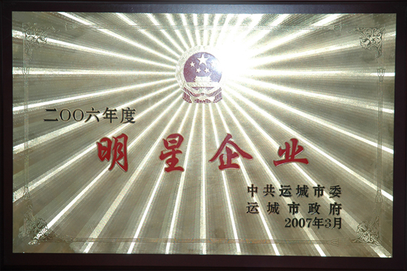 2006年明星企业